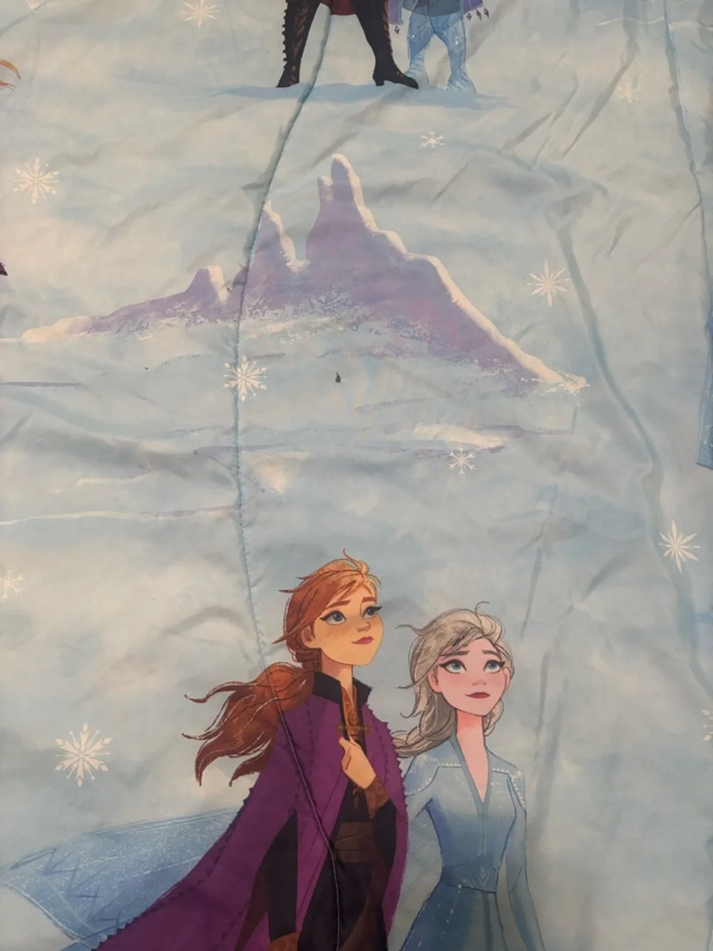 Disney Frozen II Bedding Set Comforter Pillowcase + Pillow Elsa Anna